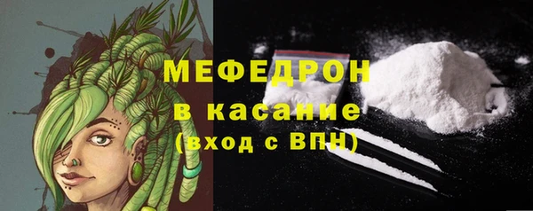 хмурый Ельня