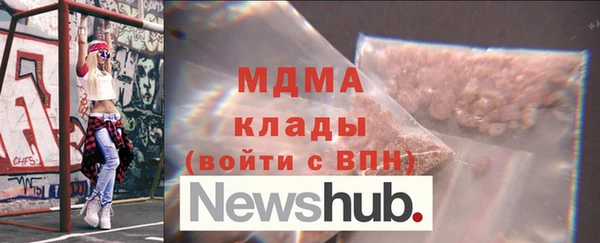 хмурый Ельня