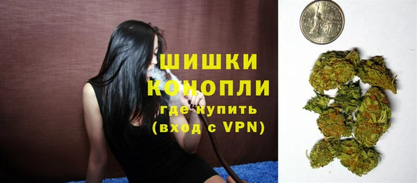 хмурый Ельня
