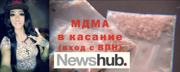 хмурый Ельня