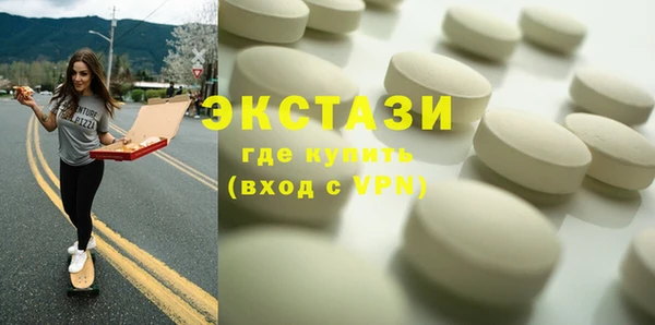хмурый Ельня