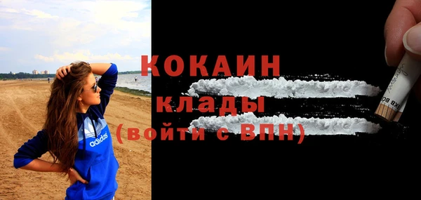 хмурый Ельня