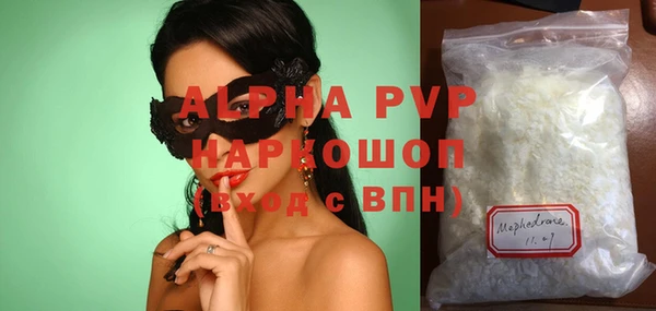 хмурый Ельня