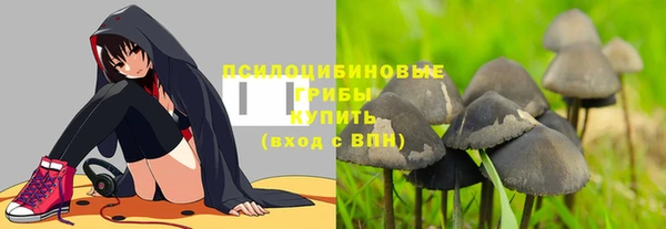 mdpv Елабуга
