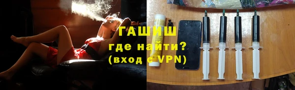 хмурый Ельня