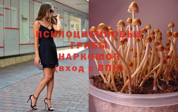 хмурый Ельня