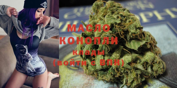 хмурый Ельня