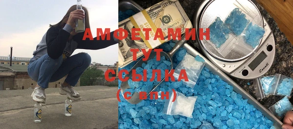 хмурый Ельня