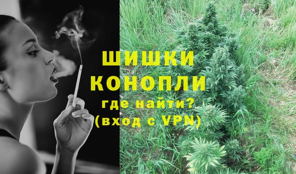 хмурый Ельня