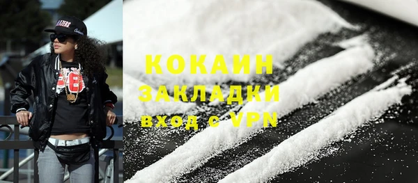 хмурый Ельня