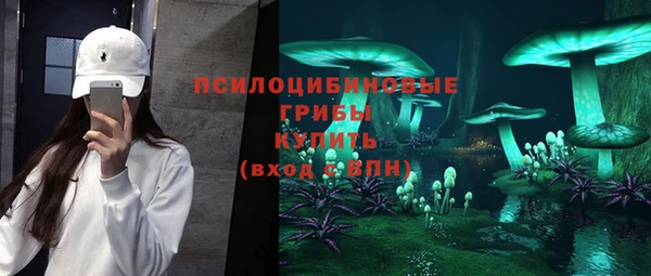 mdpv Елабуга