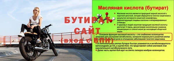 хмурый Ельня