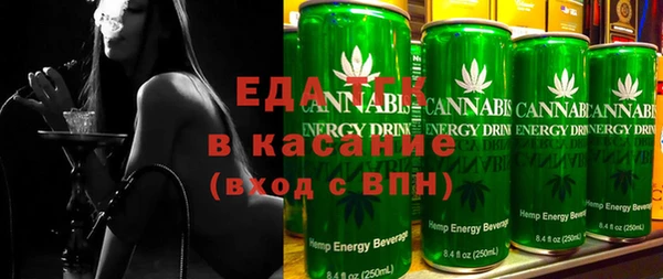 хмурый Ельня